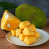 Aroy-D 565g Jackfruit In Syrup alloy Dee jack fruit syrup