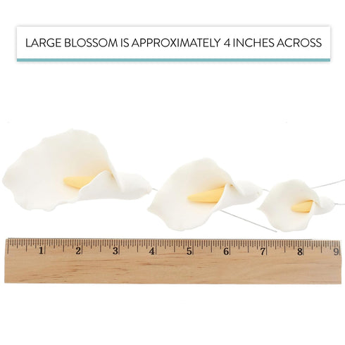 Wired,3 6 Count Global Sugar Art Calla Lily Sugar Cake Flowers White with Yellow, sizes, by Chef Alan Tetreault