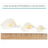 Wired,3 6 Count Global Sugar Art Calla Lily Sugar Cake Flowers White with Yellow, sizes, by Chef Alan Tetreault