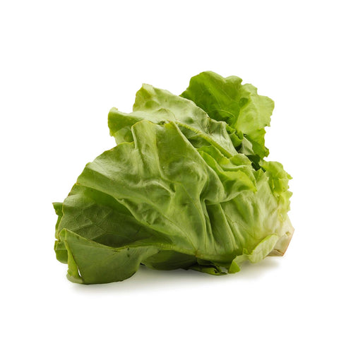 Fresh Produce Organic Butter Lettuce