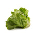 Fresh Produce Organic Butter Lettuce