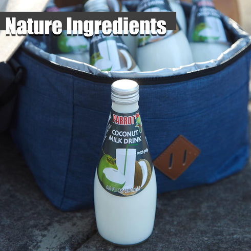 290mlPack 12 Parrot Coconut Milk Drink Original with Pulp