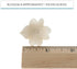 144 Count Global Sugar Art Hydrangea Blossom Sugar Cake Flowers, Unwired, White, by Chef Alan Tetreault