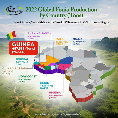 3 -3 1 lb/1.3 Nafajama Premium Bags of Gluten-Free White Fonio Grain Organic | Ancient African Super-Grain, Rice