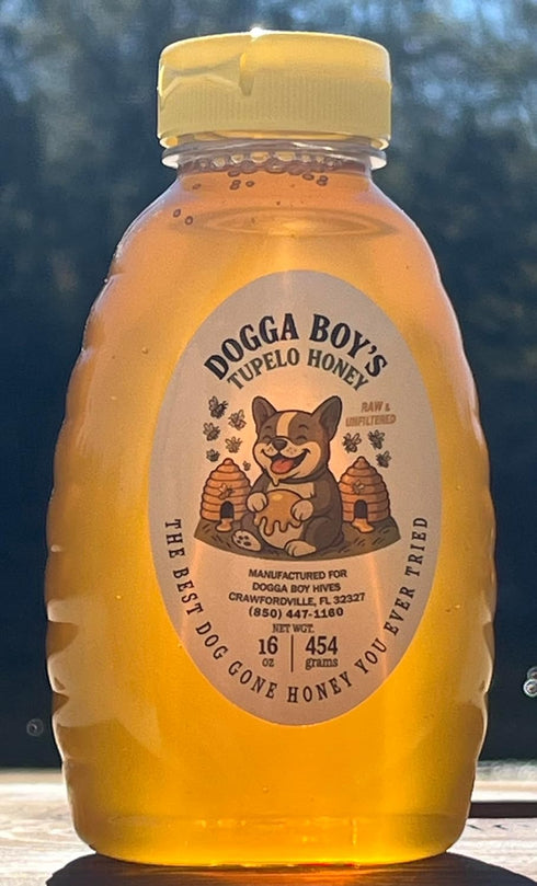 Generic 100% 16oz Tupelo Honey - Pure Raw Unfiltered - Plastic Jar by Dogga Boy Hives