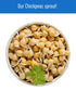 5 lbs Palouse Brand Certified Glyphosate Residue Free Chickpeas | Garbanzo Beans | | Family Farmed in Washington State