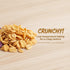 SODGHYTR 500g/17.64oz -Yogurt Fruit Baked Cereal Nutritional breakfast, low sugar, CongeeDietary FiberChinese Food