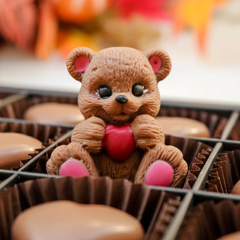 Ksana Choco Handmade 9 Ksana Handmade Belgian Chocolate Gift Box pcs Bear & Heart Shapes Fibella Hazelnut Filling