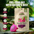 15g Himalayan Chef Freeze-Dried Dragon Fruit | Organic Dried Fruits Snacks, Healthy Snack for Kids & Adults