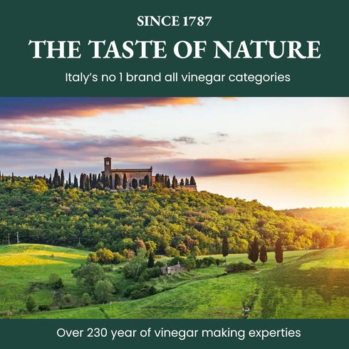 100% 16.9 oz Ponti Italian Red Wine Vinegar for Cooking - Organic Red Wine Vinegar with Balanced Acidity & Harmonious