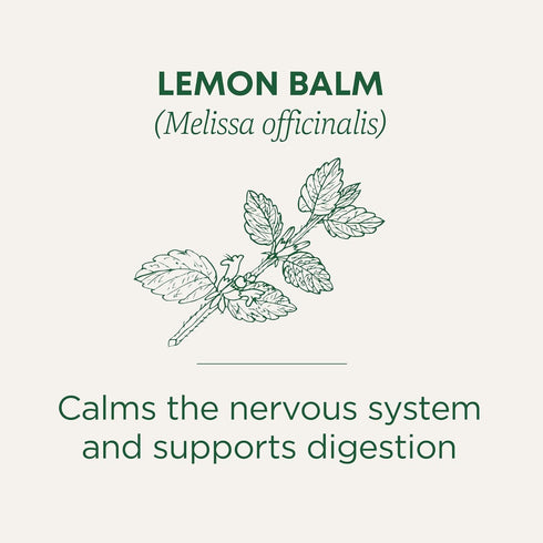 Traditional Medicinals Organic Lemon Balm Herbal Tea, Calming and Supports Digestion, 16 Tea Bags (Pack of 1)