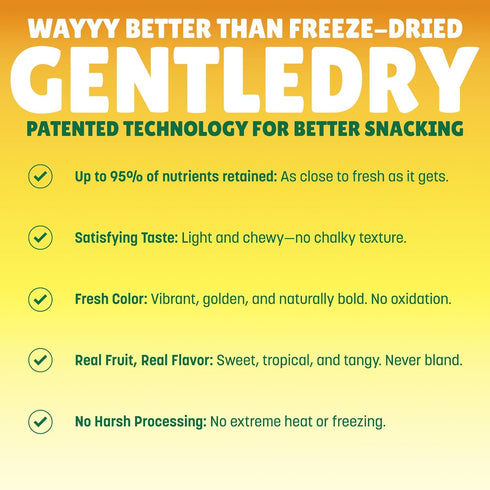 100% 10 oz BranchOut Chewy Banana Slices, No Added Sugar, Fruit, Better than Freeze Dried Banana Chips, Healthy Vegan