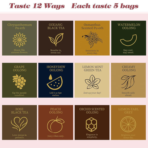 HugCoz Set 60 12 Book Tea Gift | Assorted Tea Bags | Christmas Day & Corporate Gifting Option | Exotic Herbal Blends