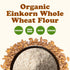 8 Food to Live Organic Einkorn Whole Wheat Flour, Ounces Finely Milled, Rich Fiber, Great for Baking Bread, Pizza