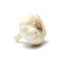 Fresh Produce PRODUCE Organic Spring Garlic
