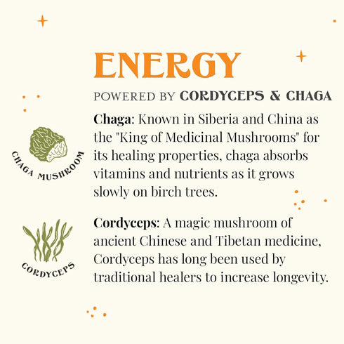 36 Count The Republic of Tea SuperShroom Energy Cordyceps and Chaga Herbal Tea, Organic Cinnamon, Ginger and Chicory