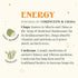 36 Count The Republic of Tea SuperShroom Energy Cordyceps and Chaga Herbal Tea, Organic Cinnamon, Ginger and Chicory