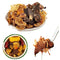 UpBots Soup Package Types of Mushrooms 3.88oz. Mushroom Soup Set, Soup Ingredients, Mushroom