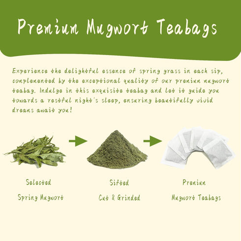 2g 50 Count Jarteela - Mugwort Tea Bag, x - Pure Mugwort Herb - Natural Herbal Tea Bags for Digestion - Non-GMO