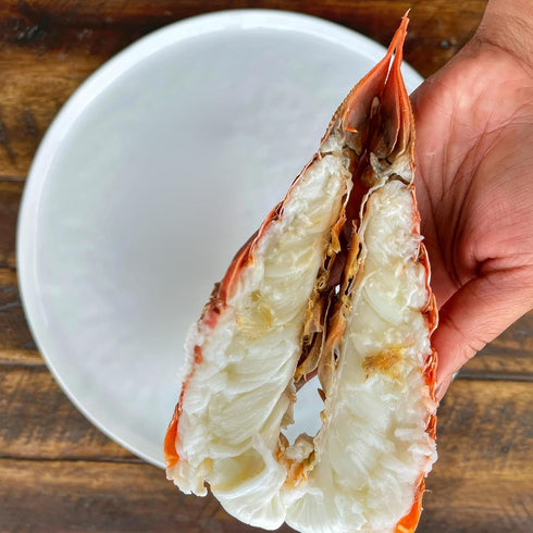 (1 6 8 oz. South African Lobster Tail pc)