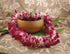 Aloha Island Lei Fresh Hawaiian Orchid Flower Lei, Single Strand From Hawaii