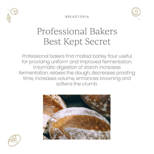 8 oz. Breadtopia Organic Diastatic Malt Powder | Non-GMO Malted Barley Flour | No Additives, No Sugar, & No Fillers |