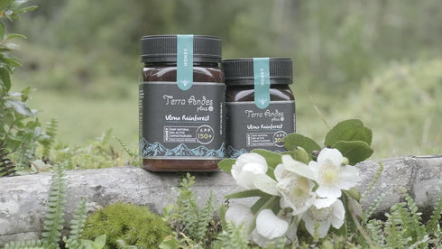 150+ 8.8 oz Ulmo Rainforest Raw Honey by TERRA ANDES PLUS | APF Pure Honey