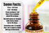 Hawaii Pharm Wild Lettuce Alcohol-Free Liquid Extract, Organic Wild Lettuce (Lactuca Virosa) Dried Herb Glycerite, 2