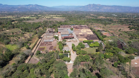5 lb) Tesoros Del Pais Green Unroasted Coffee Beans Ahuachapan, El Salvador Single Estate High Elevation (Honey washed