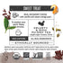 96 Numi Organic Chocolate Pu-erh Tea, Dark Tea Bags, Aged Yunnan Pu-erh Tea with Cocoa