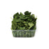 Fresh Produce 4 OZ PRODUCE Organic Basil