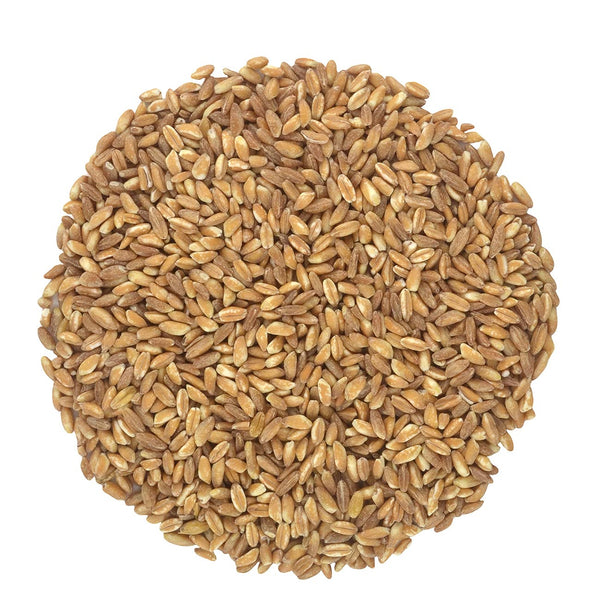 Organic Italian Pearled Farro - Imported, Raw, Non-GMO, Vegan, Bulk, Protein, Fiber