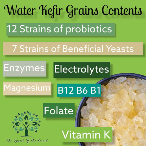 Dehydrated Starter Water Kefir Grains Fermented Probiotic Drink Powder for Stronger Gut Health | Heirloom Starter Makes
