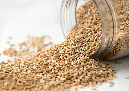5 100% Food to Live Organic Oat Groats, Pounds Whole Grain, Non-GMO Seeds, Kosher, Raw, Non-Irradiated, Vegan, Bulk