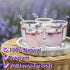 130+ 2oz (57g) Edible Lavender Sprigs for Cake & Cocktails Garnish, Whole Dried Lavender Stems Culinary Herb for Tea