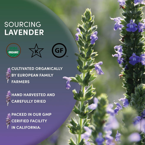 4 Worldwide Botanicals Organic Lavender Flowers, ounces, Pure European Lavender buds, Perfect for Aromatherapy