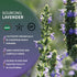 4 Worldwide Botanicals Organic Lavender Flowers, ounces, Pure European Lavender buds, Perfect for Aromatherapy