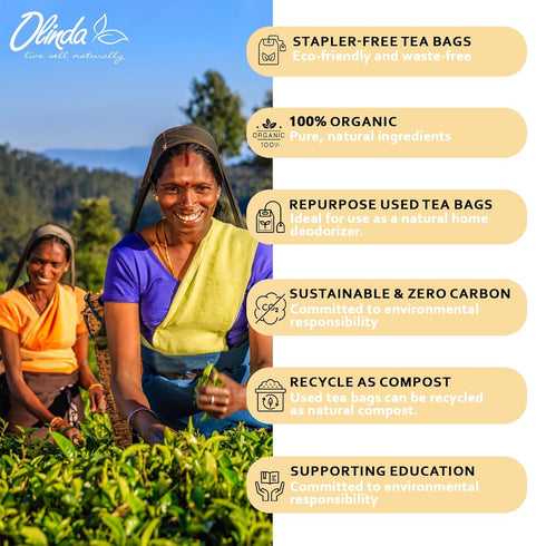 100% 28 Pack 1 Olinda Turmeric Herbal Tea Ginger Ginseng Tea Tea Bags Caffeine Free Tea Bags Pure Herbs Brew Hot Tea