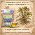 4 oz (113g) 100% Hierba del Sapo Herbal Tea - Natural Mexican Thistle (Eryngium heterophyllum) - Traditional Loose Leaf