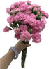 19 Stems Pink Mini Carnations Fresh Cut Flower Bouquet Gifts for Birthday Anniversary Friendship and Love