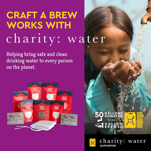 Frozen 20 1-gal Craft A Brew - Fruit Wine Recipe Kit - Easy for Beginners - At Home Wine Making Kit - Ingredient-Only