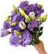 10 Next day delivery Stems Lisianthus Grade Smoked Purple Platycodon Fresh Cut Flowers Bouquet Birthdays Friendship