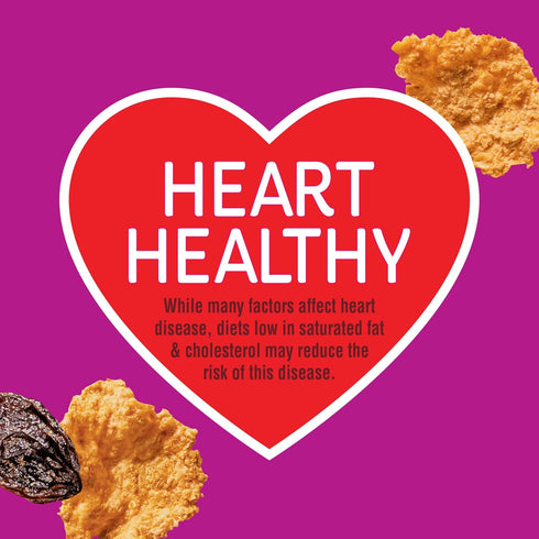 28g 20.9 oz (Pack 2) Kelloggs Raisin Bran Breakfast Cereal, High Fiber, Whole Grain, Large Size