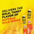 6g 0.97 oz. (24 Count) Slim Jim Giant Chicken Sticks, Buffalo Wild Wings Buffalo Style, Protein per Stick