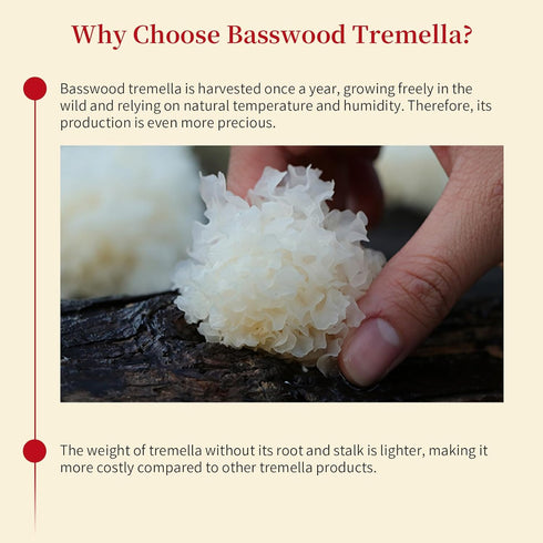 3.5oz(100g) Wanhua Hall Dried Snow Fungus Whole Tremella Mushroom Chinese White Fungus Premium White Woodear Mushroom