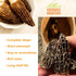 1.5 oz VIGOROUS MOUNTAINS Organic Dried Morel Mushrooms for Cooking, Intact Shapes, Short Stems with Rich Aroma Premium