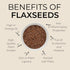 3s 12-pack, 1.06 oz Laxmis Delights Savory Flaxseed Spread with Sun-dried Tomatoes - Spicy Charcuterie Board Spread|