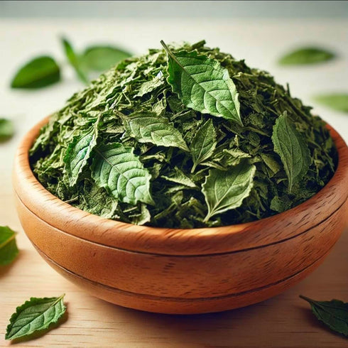 Generic Premium Dried Holy Basil (Tulsi) Leaves Aromatic Thai Holy Basil for Tea & Cooking Fresh Sealed Herbal Loose