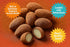 The Brittle Box Candy Co. 1 Brazil nuts coated in chocolate and dusted in cocoa pound hand made fresh to order!