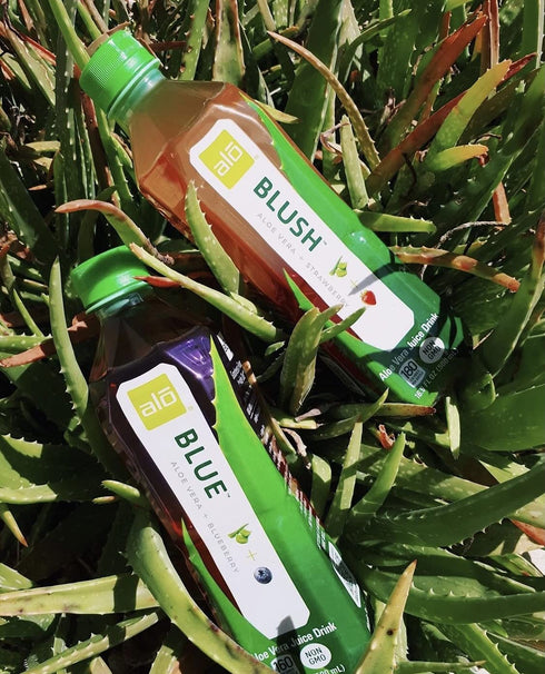 16.9 oz, Pack 12 ALO Aloe Vera Juice Drink | BLUSH - Aloe Vera + Strawberry | fl of | Plant-Based Drink with Real Aloe